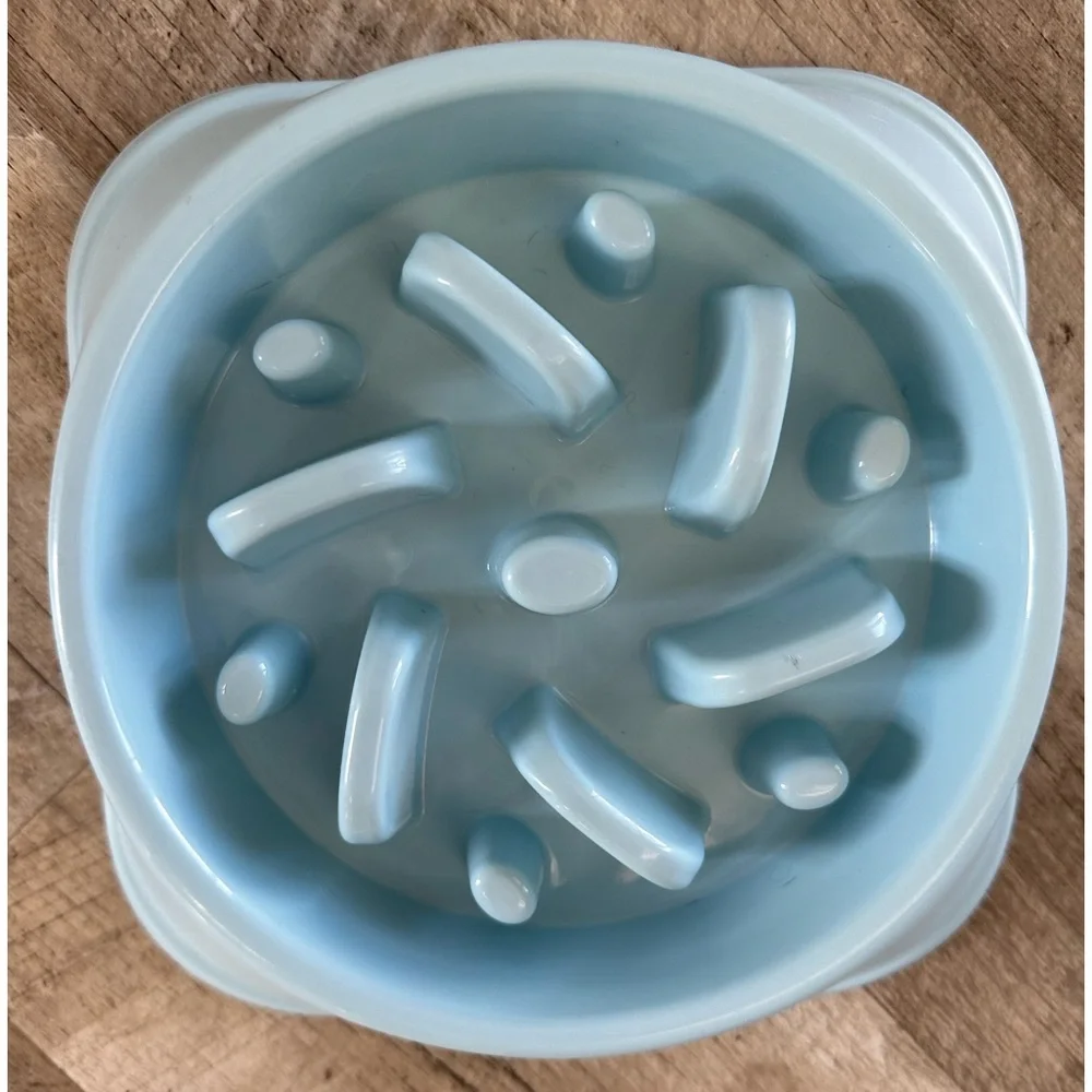 Slow feeder dog bowl for good digestion
